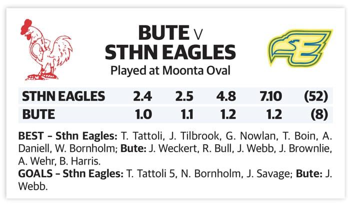 YPFL second semifinal – senior colts post image