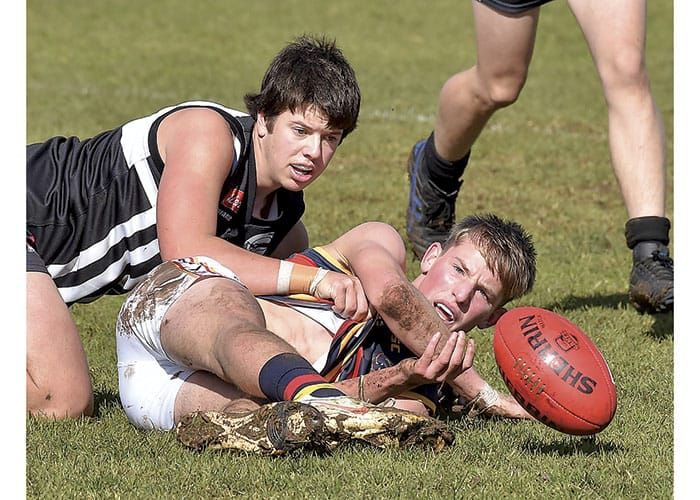 YPFL: Crowing home from Paskeville post image