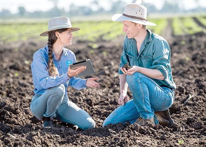 CSIRO launches new sustainability tool post image