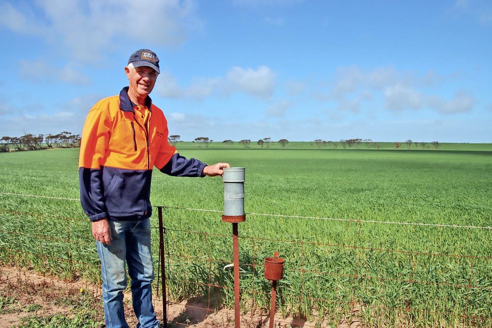Annual wheat competition a highlight for Bute bureau post image