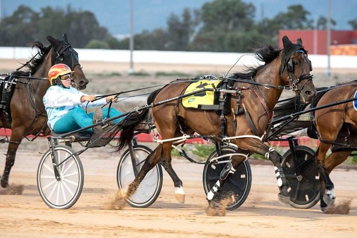 YP Harness Racing Club post image