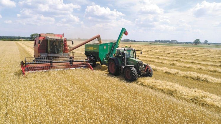 A stronger core for better plant breeding post image