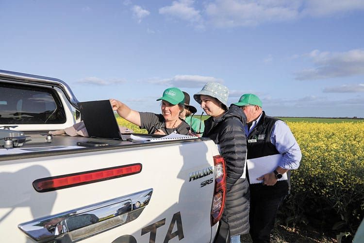 Pick crop contenders with 2024 SA guide post image