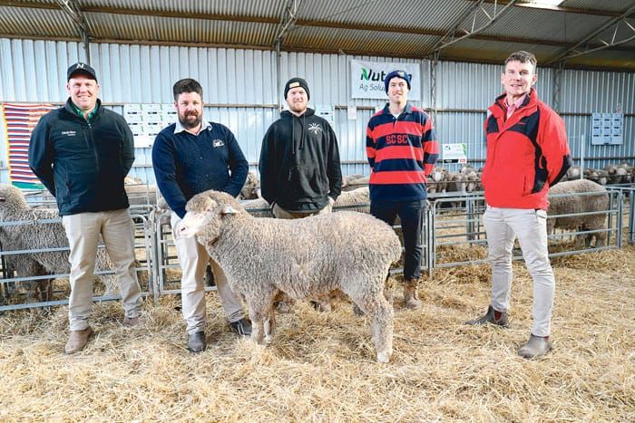 Strong start to ram sale season at North Cowie post image