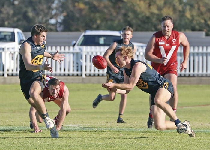 NAFA: Eagles bullied by undefeated Roosters post image