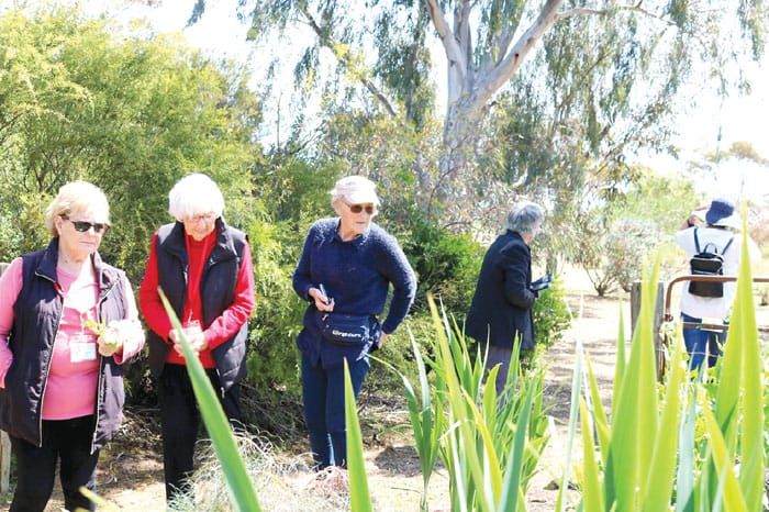 Varied program at Warooka and Districts Garden Club post image