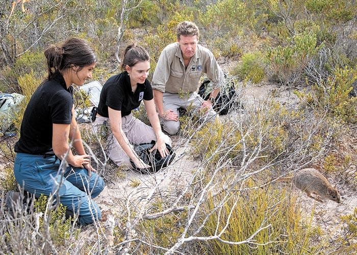Marsupials thrivin­g in national park post image