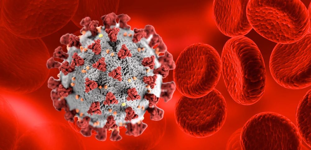 COVID warning post image