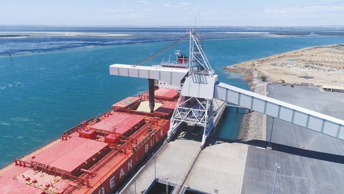 Record lentil delivery on YP post image
