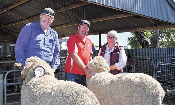 Great day out in Maitland post image