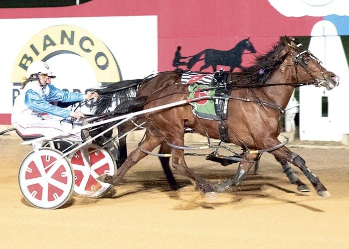 Lou Lou Quick wins Life Members Pace post image