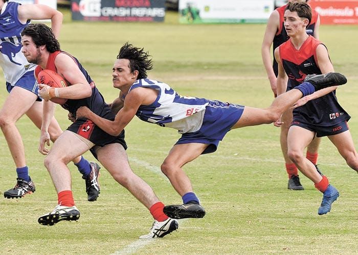 Dee-lightful win for Demons post image