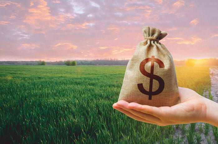 GrainGrowers calls for federal budget support post image