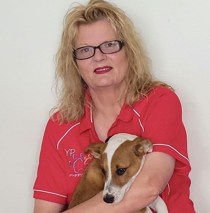 YP Puppy Rescue celebrates 10 years post image