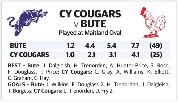 YPFL: Bute holds on in wet post image