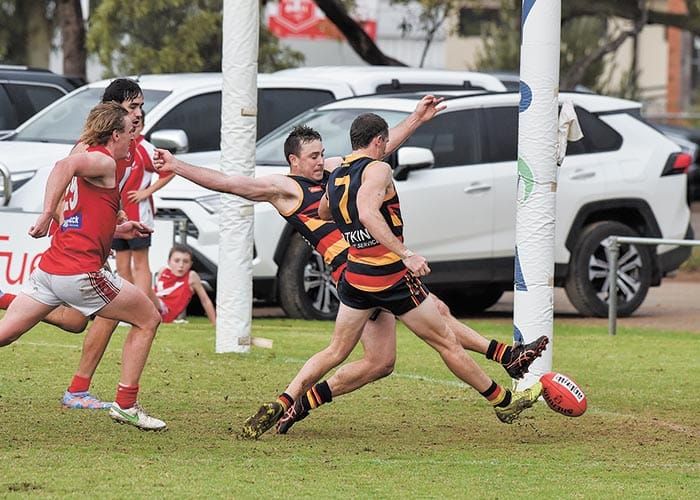 YPFL... Roosters beginning to Crow post image