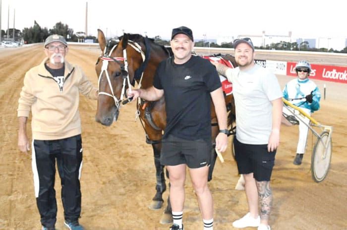 YP harness racing post image