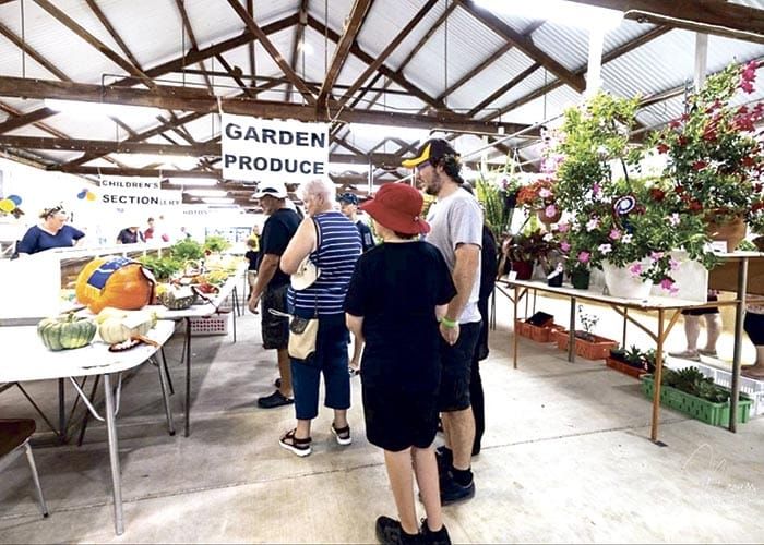 Maitland Show — there through it all post image