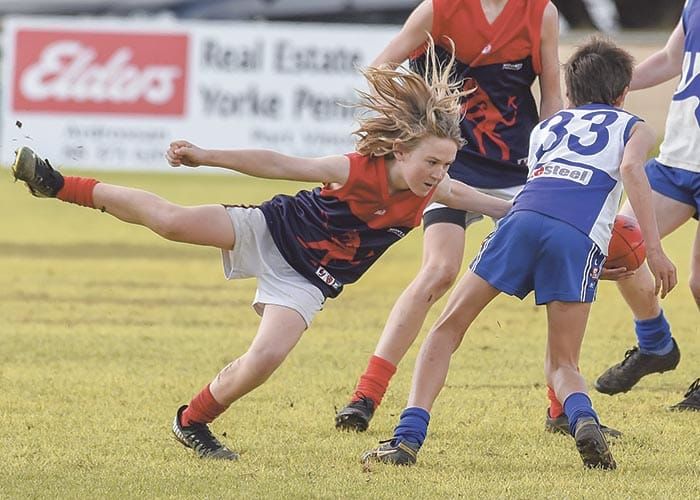 Moonta rises in the last quarter post image