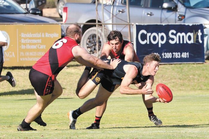 NAFA: Eagles grounded by Kangaroos post image
