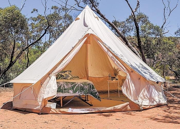Autumn glow at Clare Valley Races post image