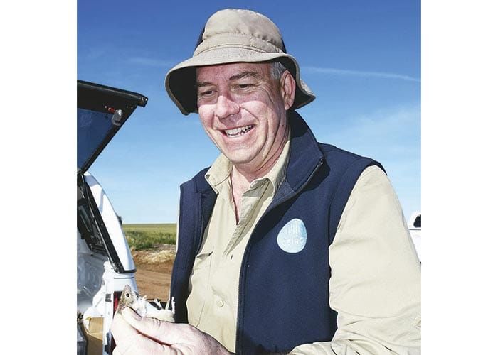 Mouse baiting – double the dose packs a more effective punch post image