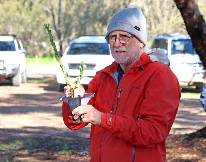 Moonta celebrates National Tree Day post image