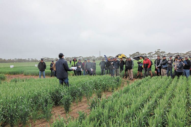 Crowd keen for technology trials showcase at Bute post image