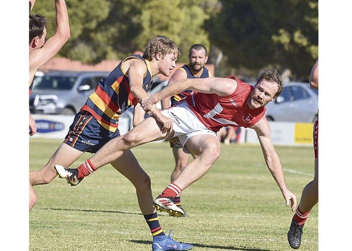 YPFL: Bute boosted to top after close win post image