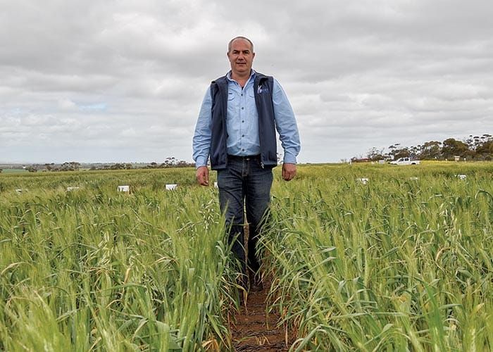 Getting The Crop In back for 2023 post image