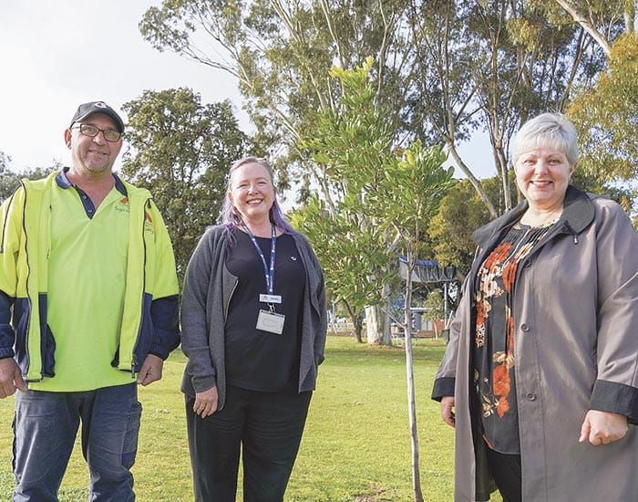 Adopt a tree for your street post image