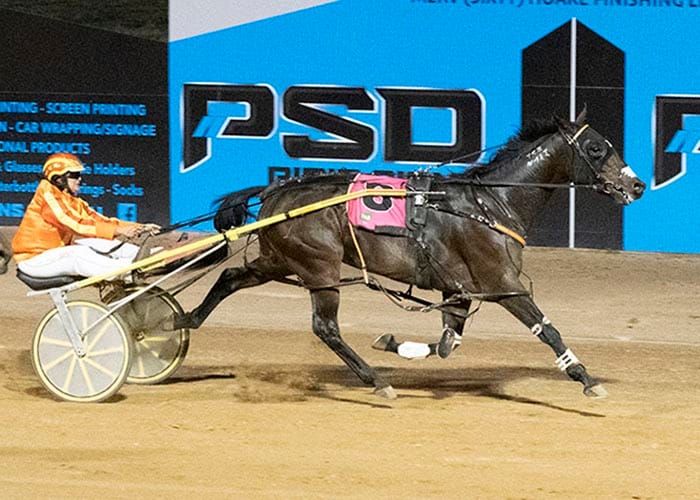Port Pirie harness racing post image