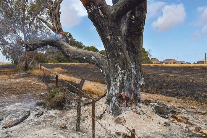 Have your say on South Australia’s draft Bushfire Management Plan post image