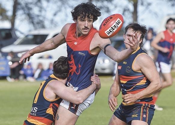 YPFL A grade: Dees dethrone Crows to secure GF berth post image