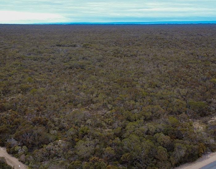 New conservation land shows promise for species reintroduction post image