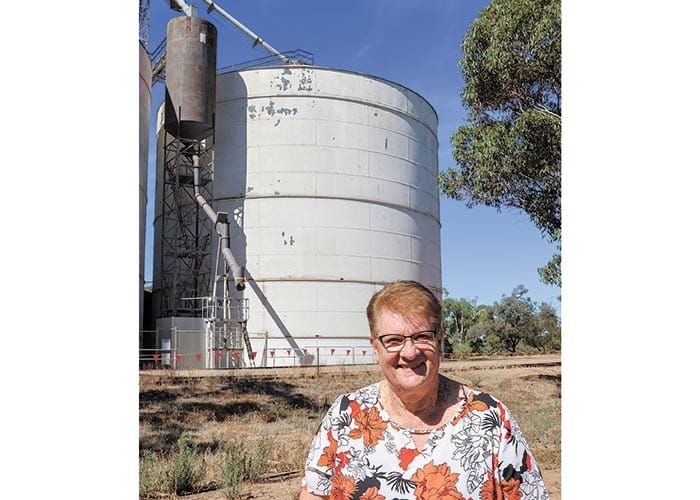Concern for the future of Bute silos post image