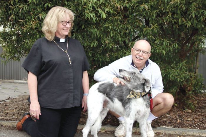 Blessing the pets post image