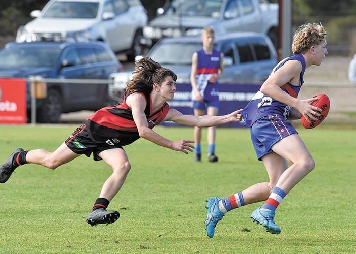 YPFL Jnr Colts... Dogs prove reigning premier status post image