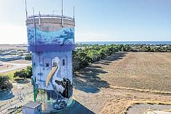 Water tower murals in national awards post image