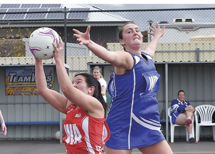 Netball: YP netball scores and reports post image
