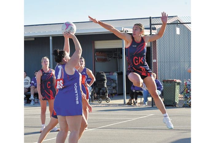 YPNA scores and reports post image