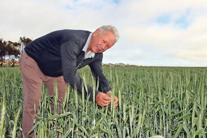 GM: Free to choose in Copper Coast post image