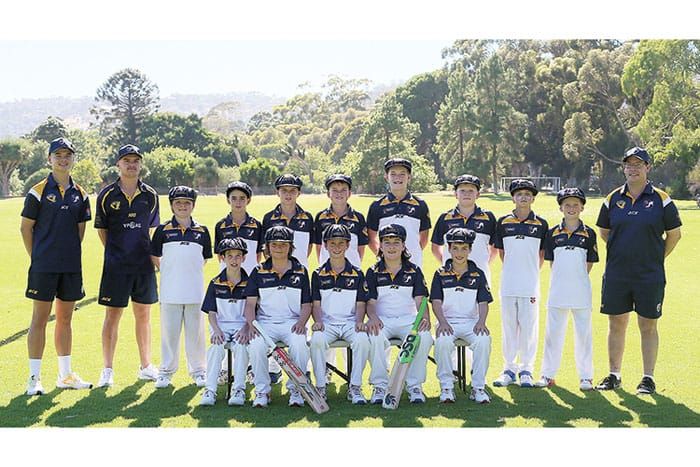 Cricket: Learning experience for YP under 12s post image