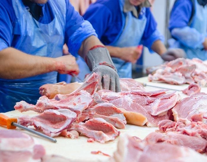 ‘Devastating’: Port Wakefield fears impacts of abattoir closure post image
