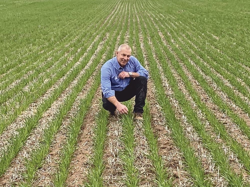 New fungicides answer wishes of growers post image