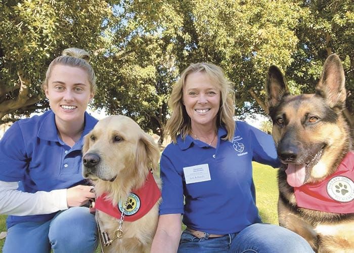 A pawsitive experience post image