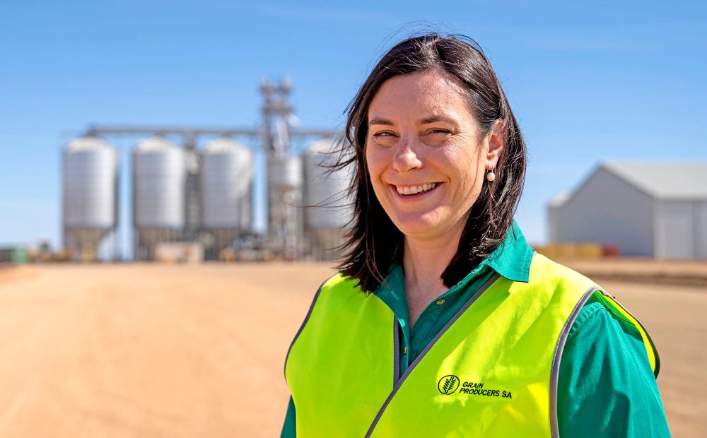 Campaign to ensure Market Ready grain post image