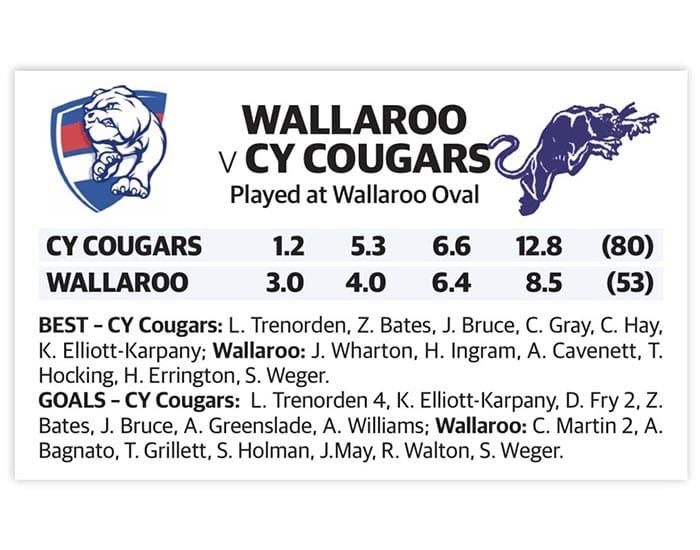 YPFL: Cougars gutsy winners at Wallaroo post image