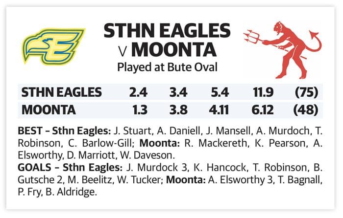 YPFL preliminary final – B grade post image