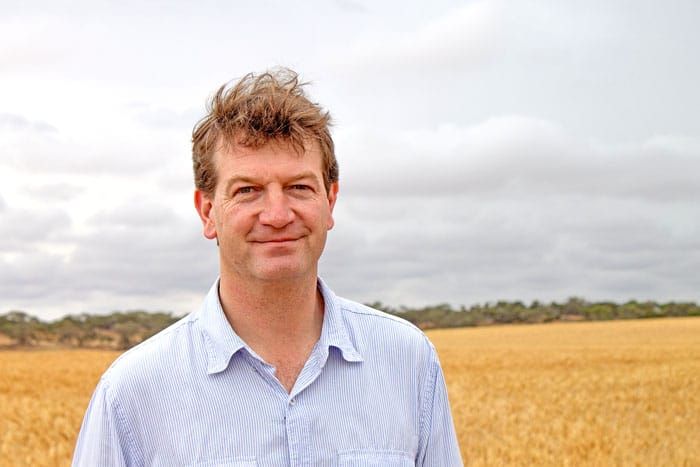 Pilot project to reduce weed movement post image